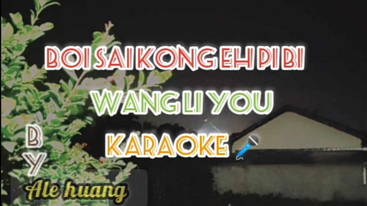 BOI SAI KONG E PI BI (karaoke 🎤) Wang Li you