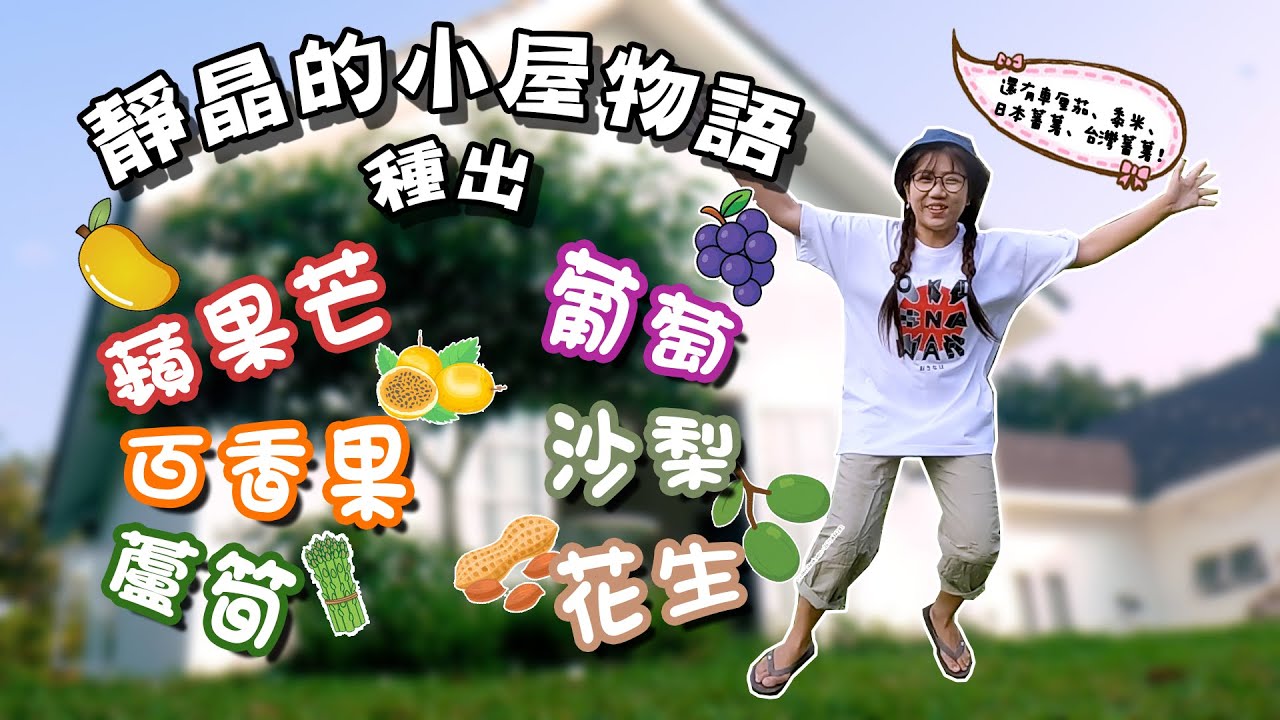 【靜晶日記 245】【小屋物語Part 9！ 半農半X的生活真的開始了！種出了蘋果芒、黃金百香果、蘆筍、沙梨、花生！車厘茄、玉米、火龍果也OTW了！Tiny House｜Malaysia｜馬來西亞】