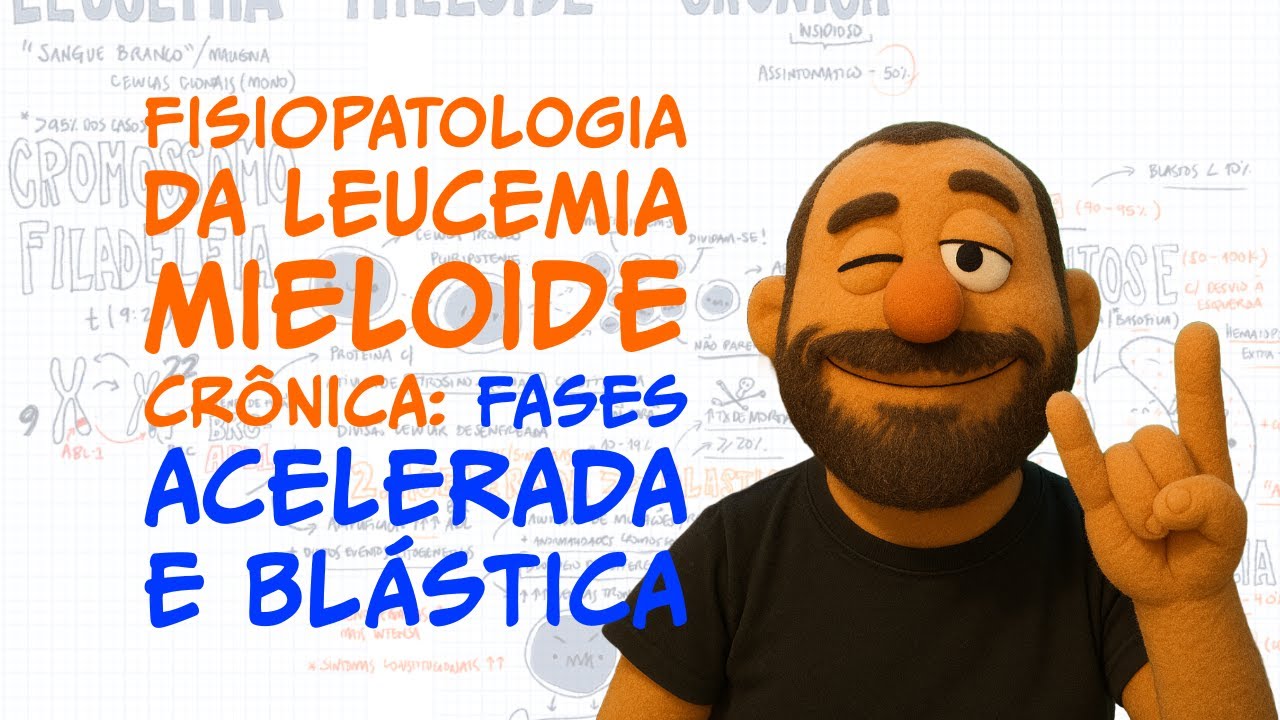 Fisiopatologia da Leucemia Mieloide Crônica: Fases Acelerada e Blástica