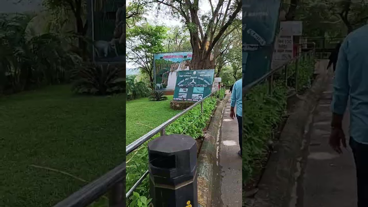 One day Trip Amirthi Zoo Vellore Best Tourism place #tourism #shortvideo #zoo #traveling