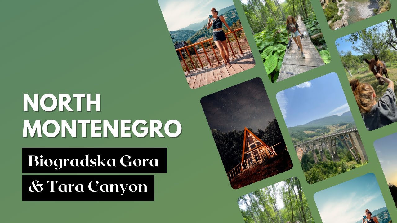Trip to Biogradska Gora and Tara bridge in Montenegro