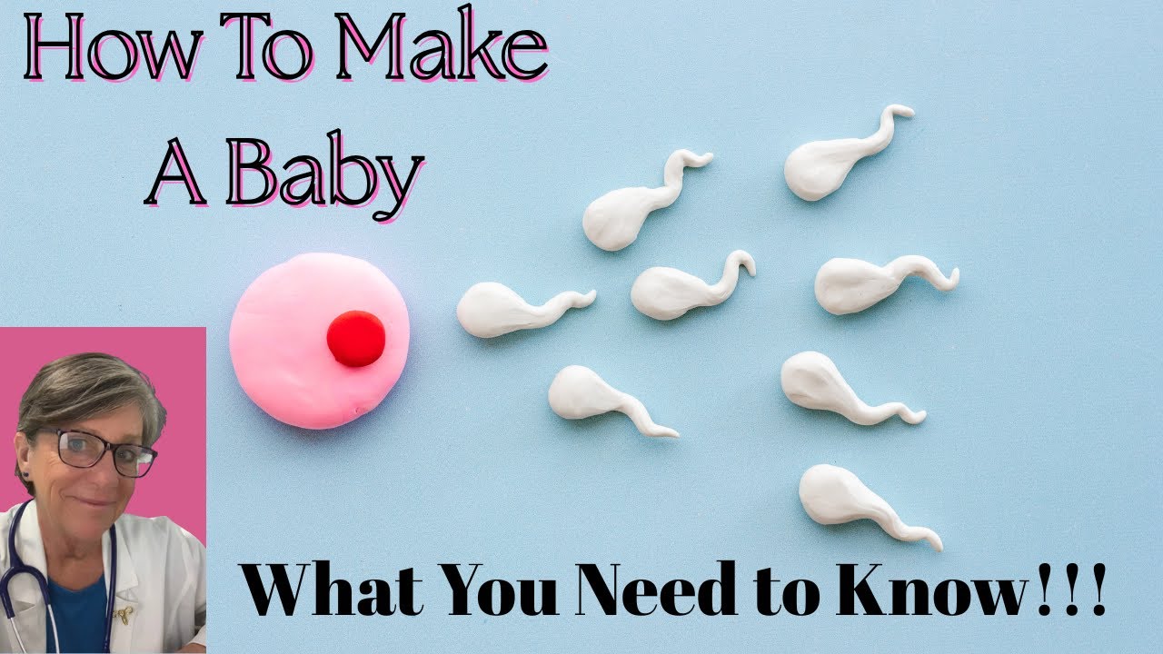 How To Make A Baby: What You Need to Know!!