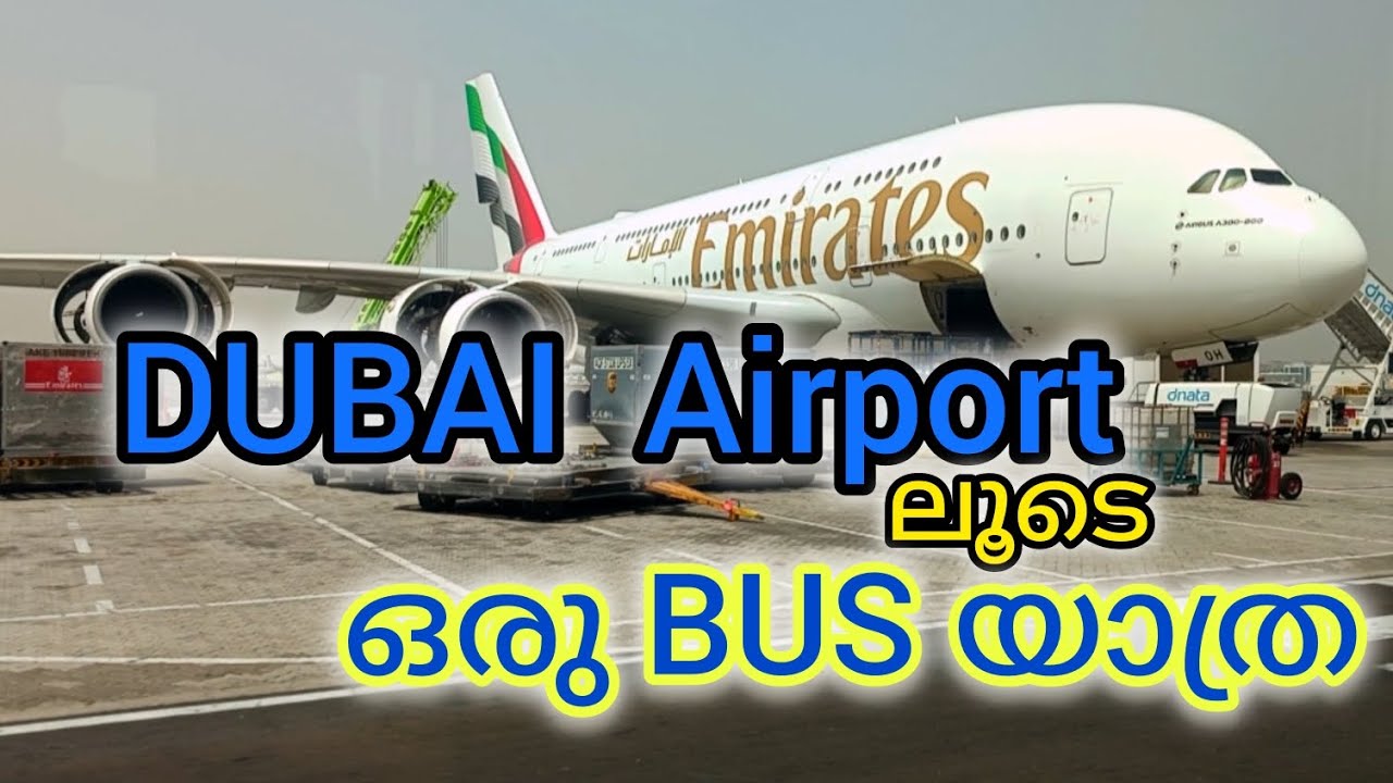 ഞാൻ ആദ്യമായിട്ടാണ് ഇത് കാണുന്നത് | Bus യാത്ര |DUBAI Airport | യാത്ര #travel #travelvlog