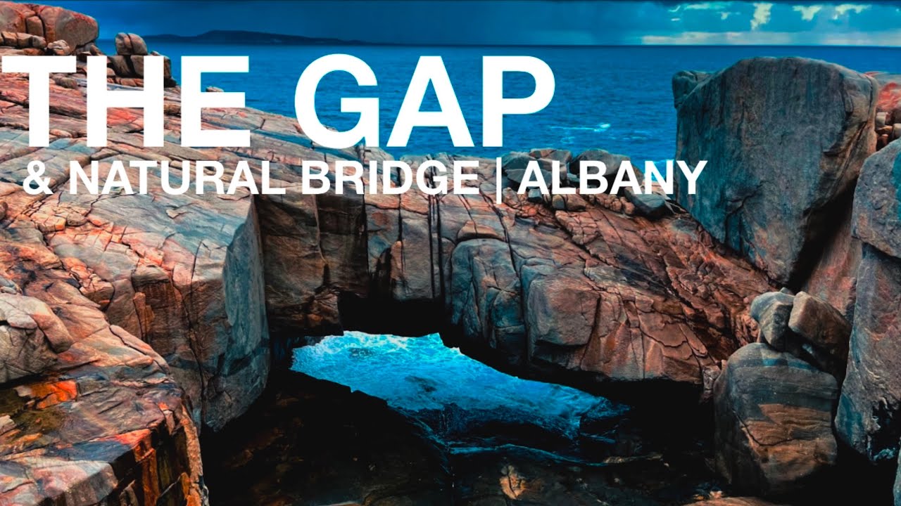 The Gap Albany