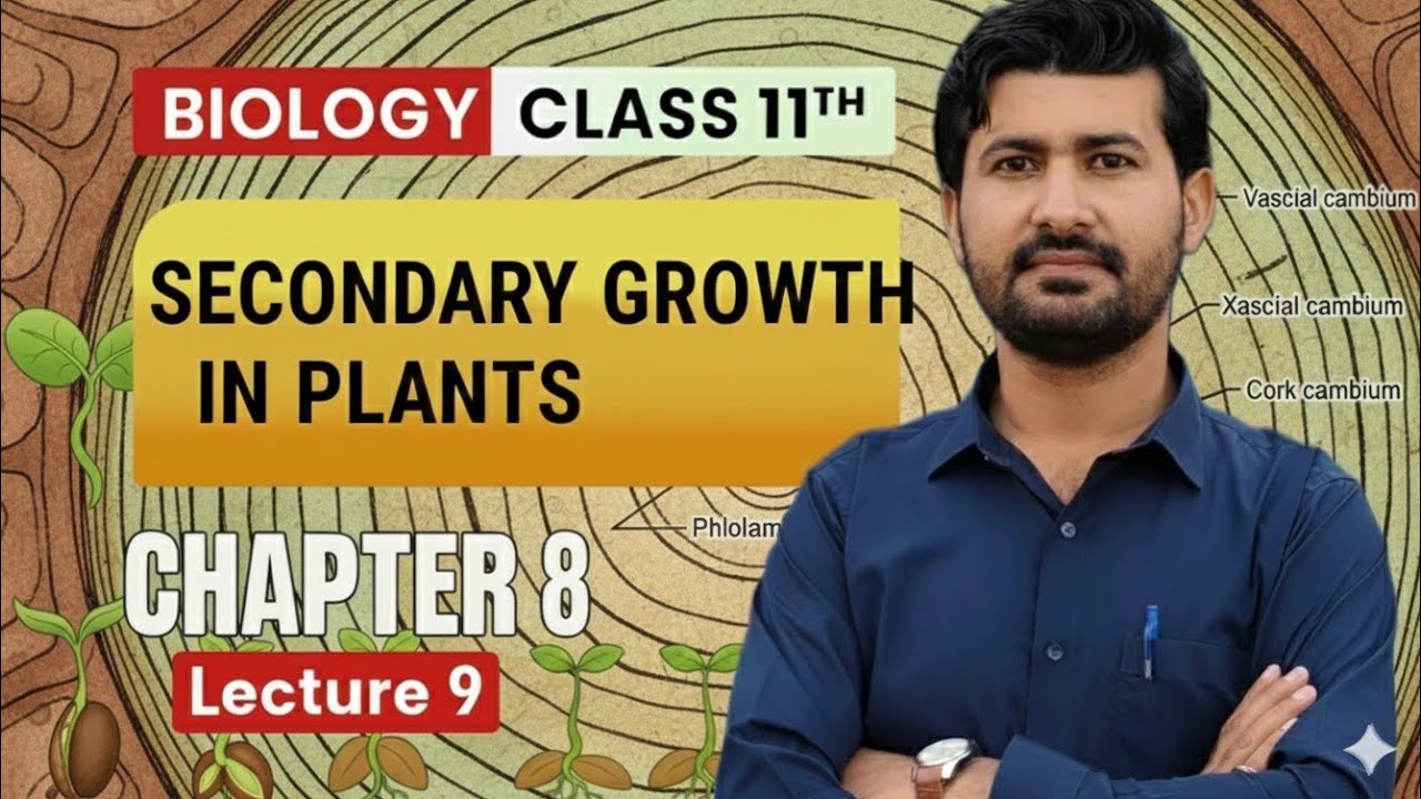 Secondary Growth in plants | Biology Class 11 Chapter 8 | irtisam's biology 