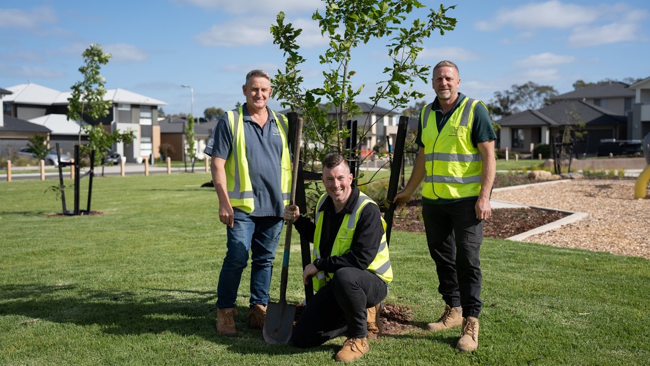 Health and Safety Solution of the Year - Tree Coach [2025 Winner]