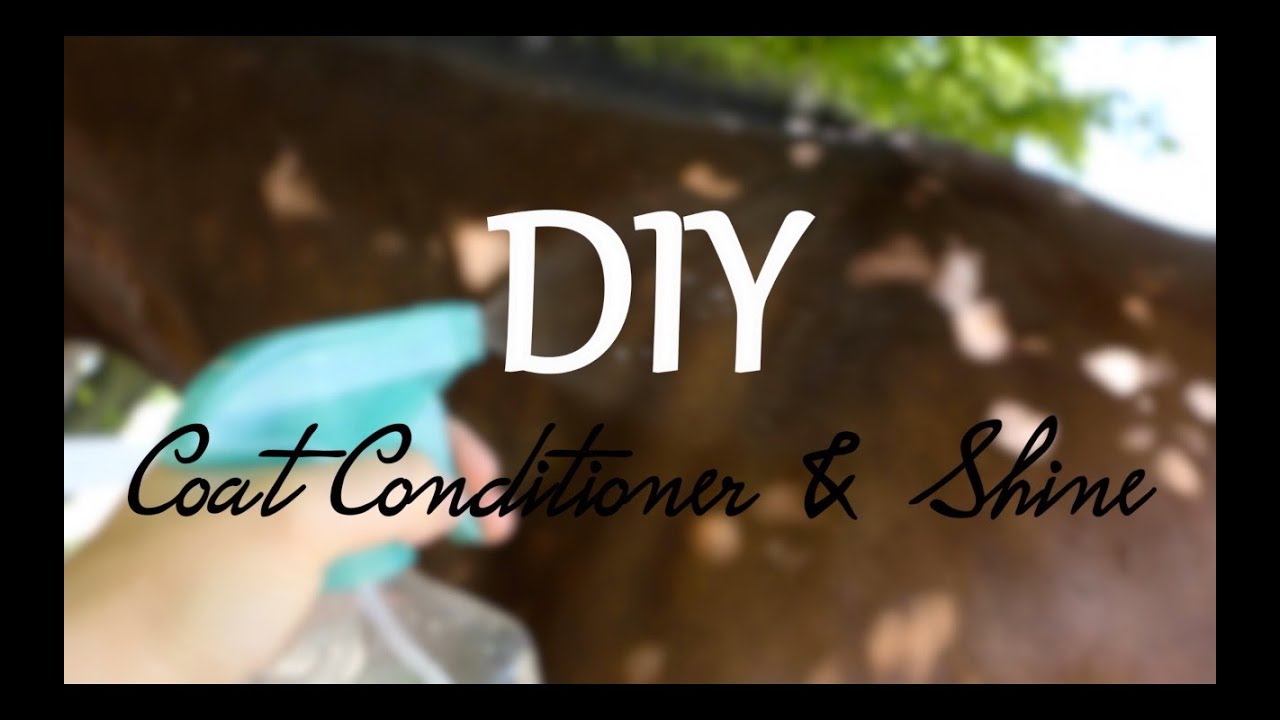 DIY Equine Coat Conditioner & Shine