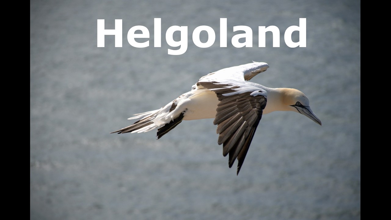 Helgoland August 2025