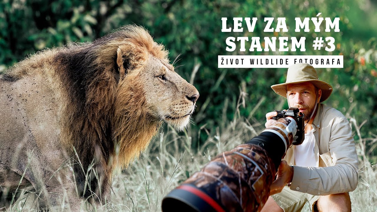 SPAL JSEM MEZI LVY, TOHLE JE RÁJ FOTOGRAFŮ / MASAI MARA / Kenya #3