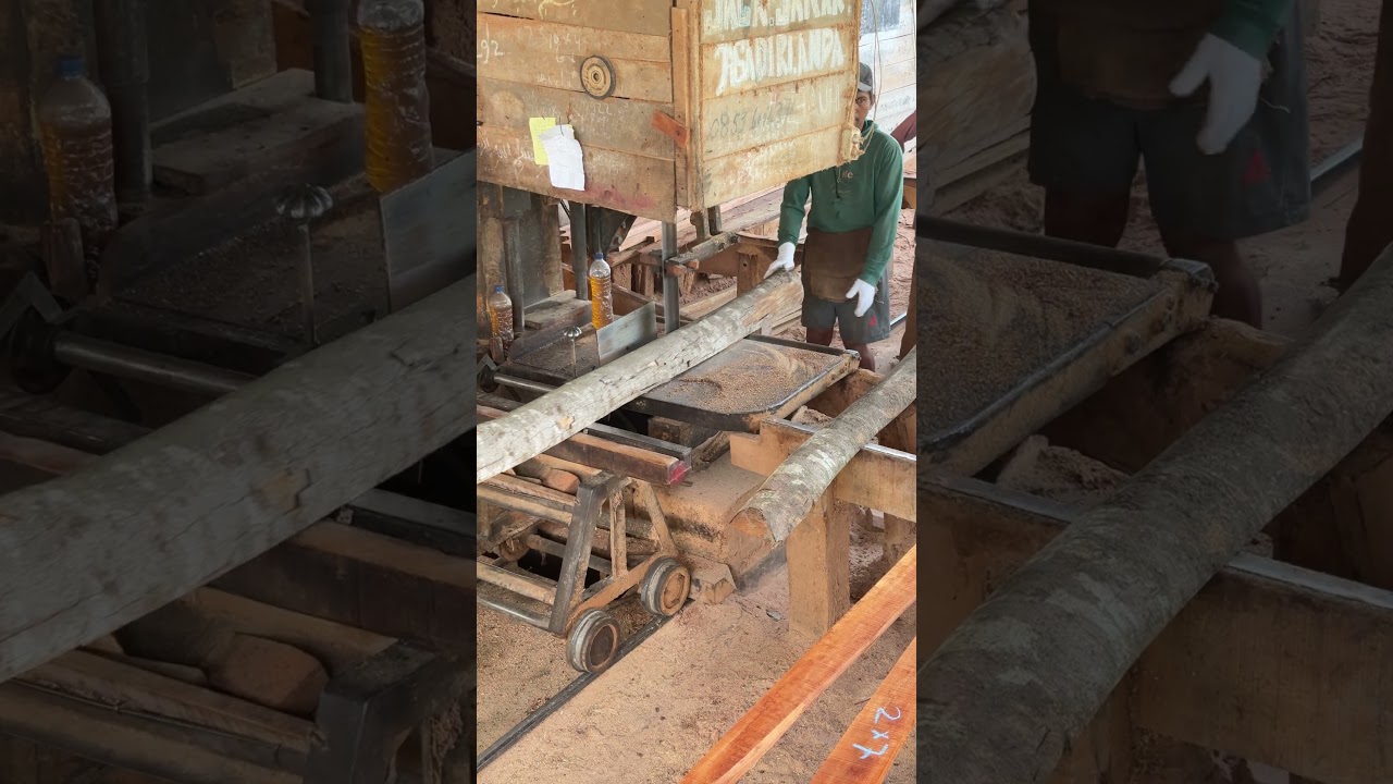 Expert Sawmill Operators Leading the Way to Mastery in Precision Cutting and Wood Processing