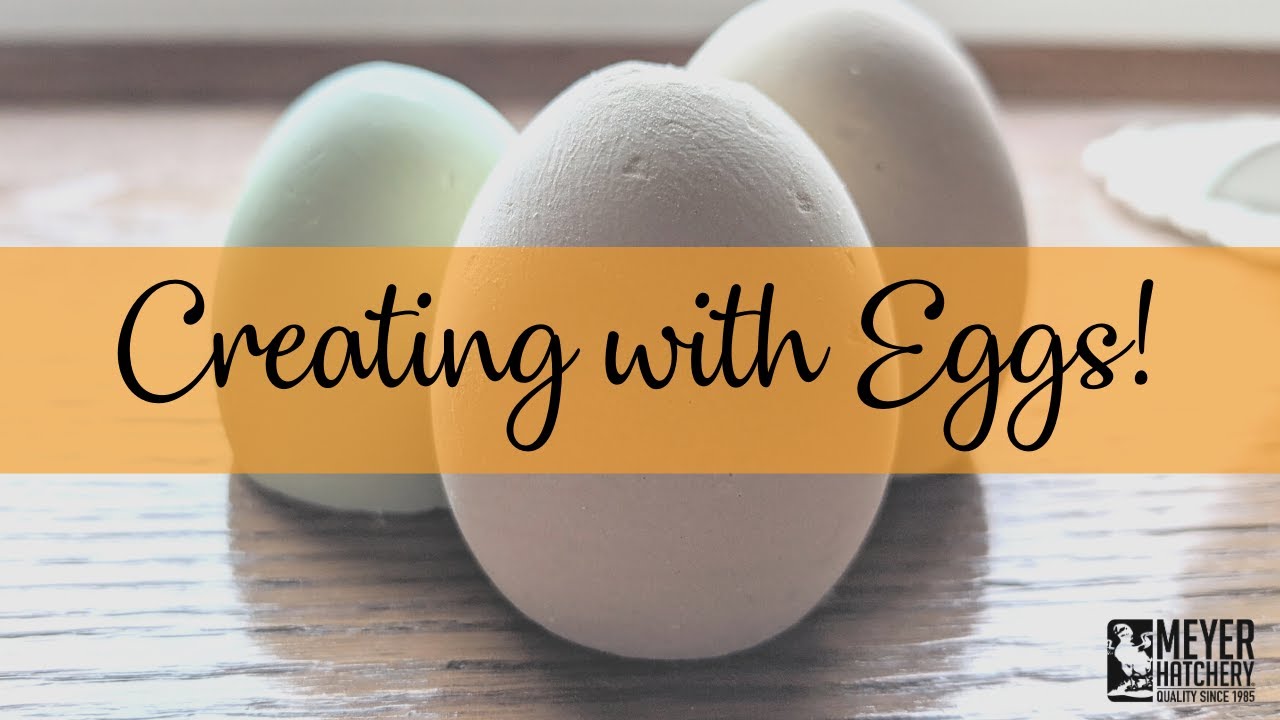 Creating with Eggs - Plaster Eggs!