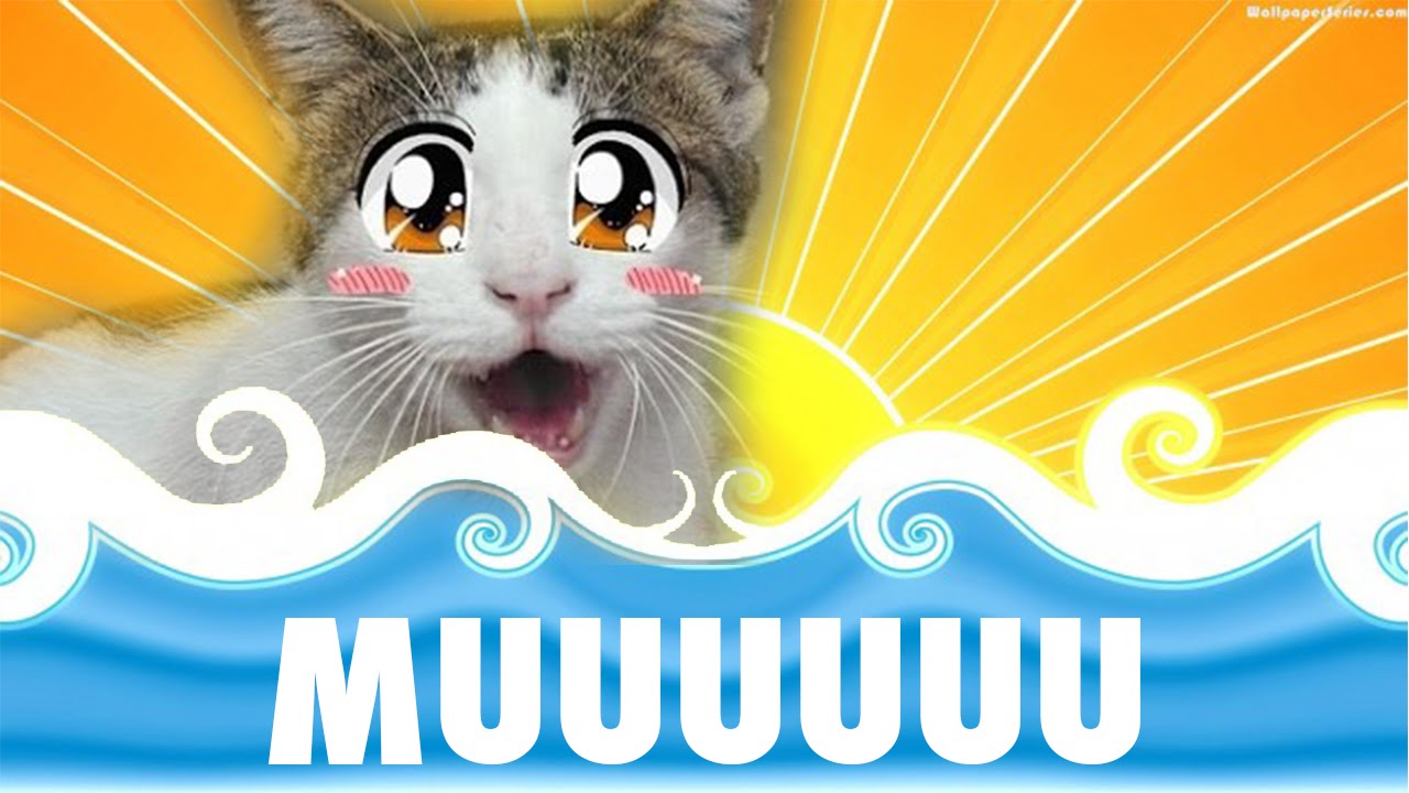 MUUU GATTO MUUUUUU