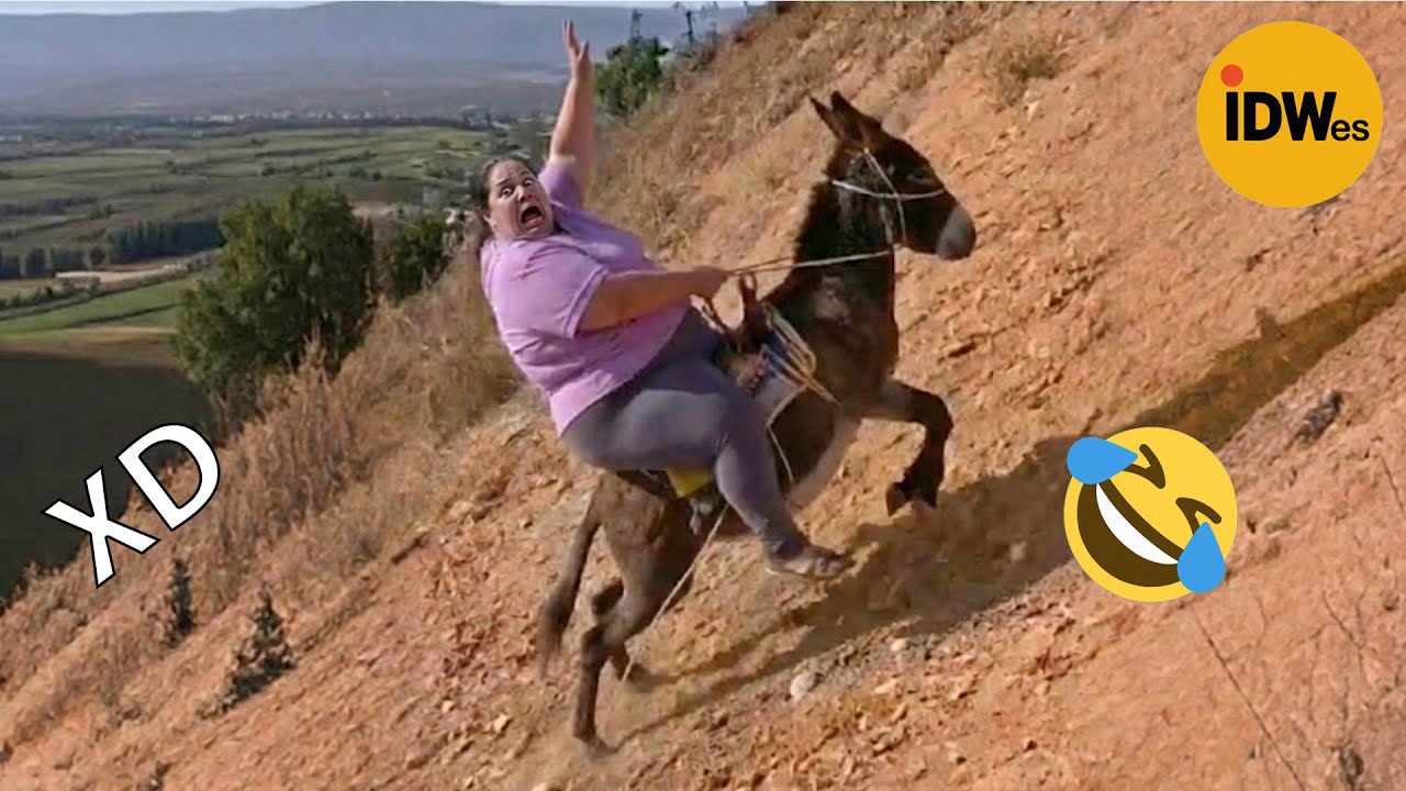 SI TE RÍES PIERDES NIVEL DIOS #398 🤣 TOP 100 VIDEOS MÁS DIVERTIDOS DE TODOS LOS TIEMPOS