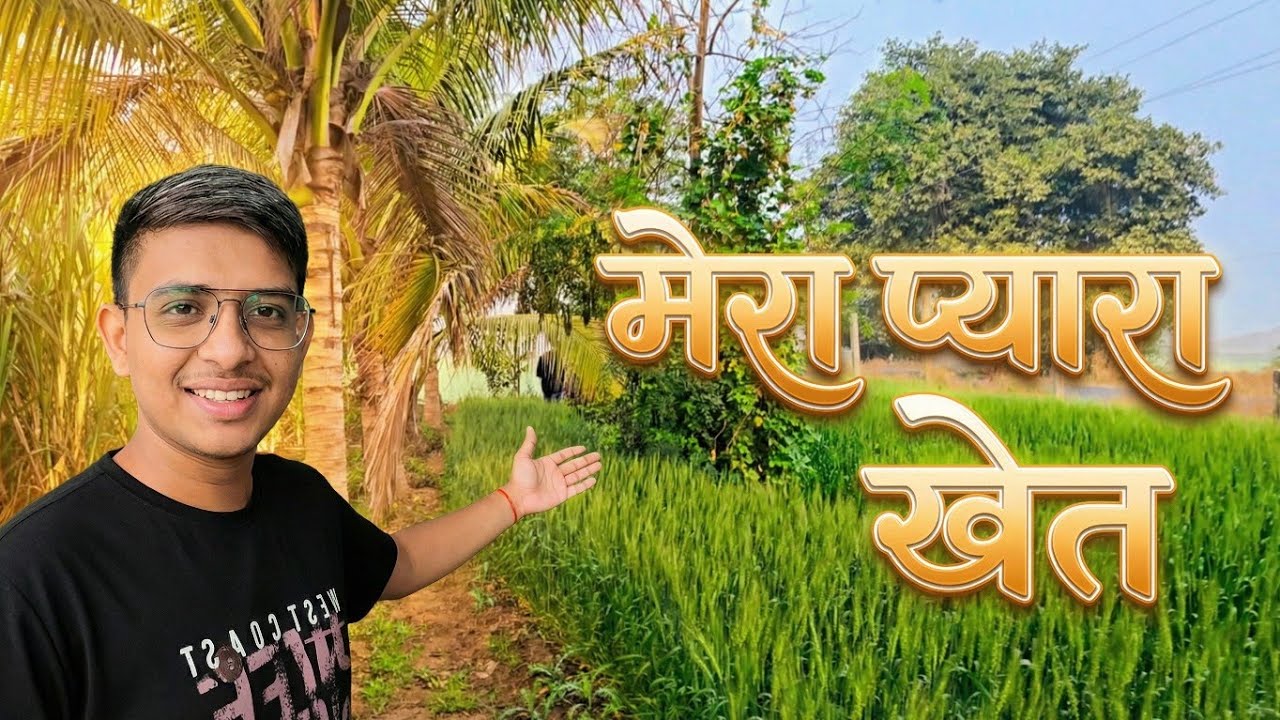 मेरा प्यारा खेत |Nandish Vlog |सुबह की सुंदरता |Village Life |My Fram |My Village |Village Vlog