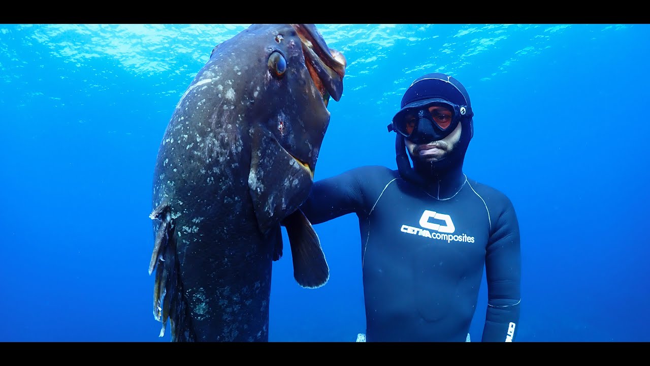 Il cernione inaspettato SPEARFISHING [ Michele Giurgola ] subtitles English / ITA