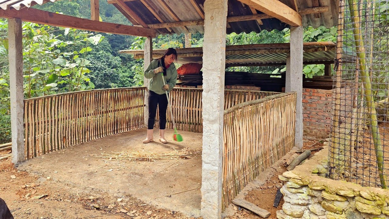 HONG used 100 bamboo poles to make the bamboo wall |Chúc Thị Hồng