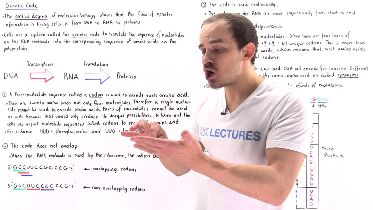 Central Dogma and Genetic Code
