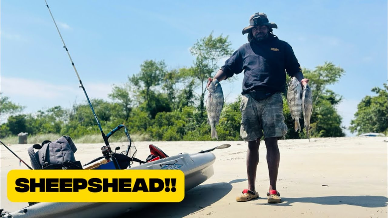 БЕЗУМНЫЙ укус овечьей головы в заливе Джамейка, Нью-Йорк! 🎣🔥