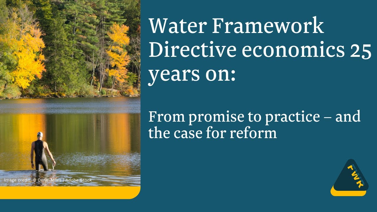Water Framework Directive economics 25 years on: From promise to practice &ndash; and the case for reform