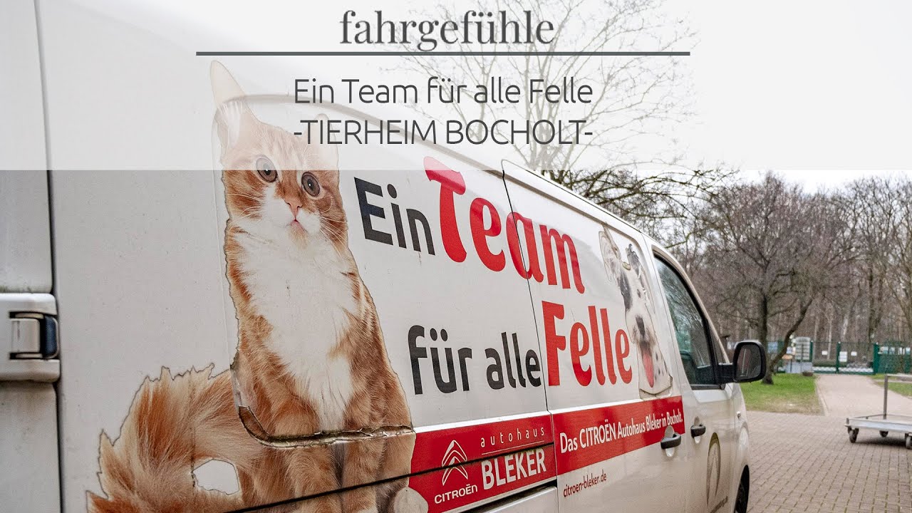 Tierheim Bocholt - Ein Team f&uuml;r alle Felle 🐈🐕🐇 I Bleker Gruppe