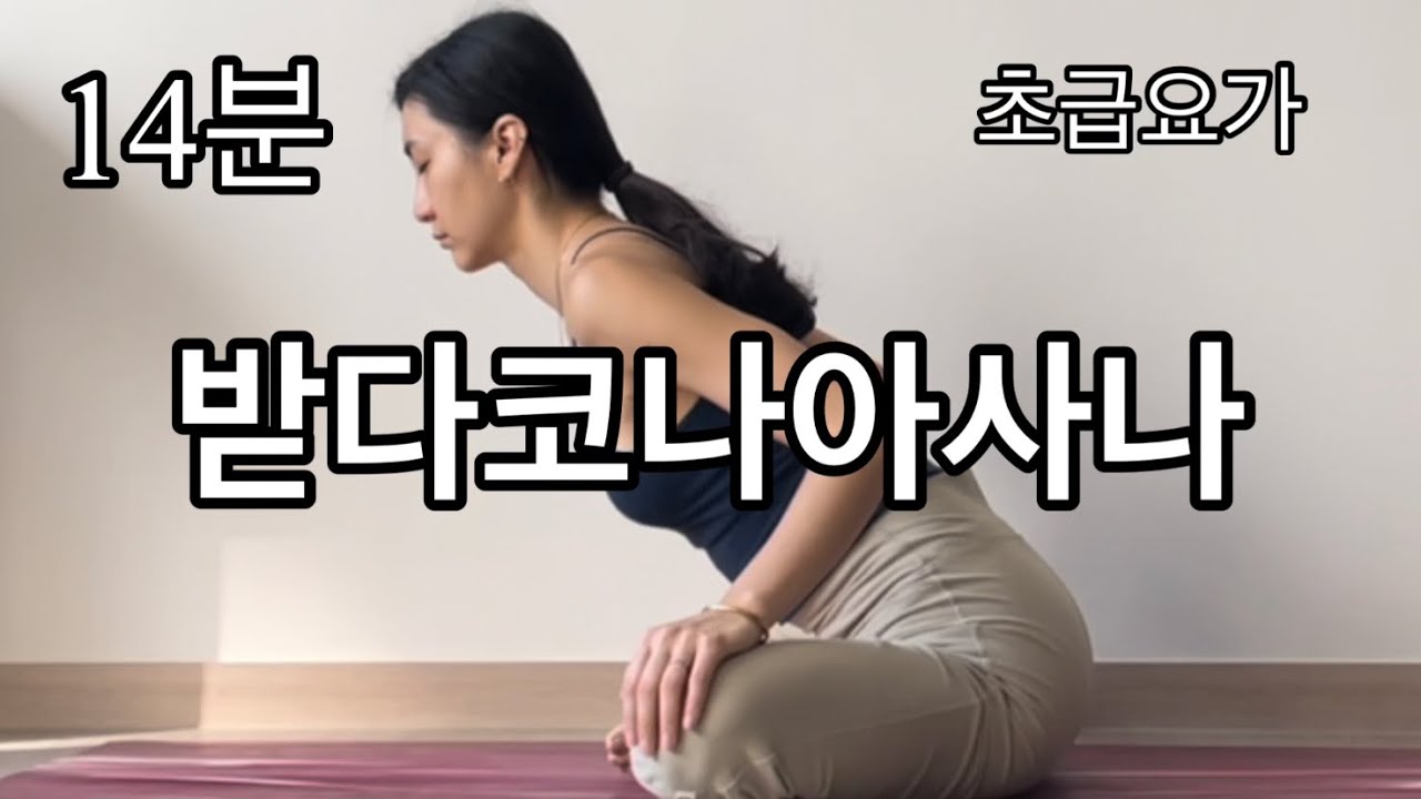 14분] Q&A 답변 / 뻣뻣한 사람도 요가 할 수 있나요? / 받다코나사나/ 나비자세 하기 위한 팁 / 왕 초보 요가