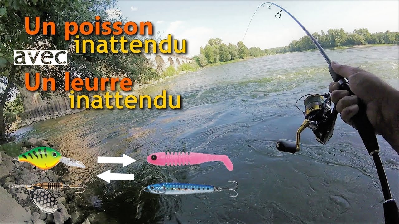 Pêche en Loire en UL : un leurre, un poisson...mais pas le bon ; )