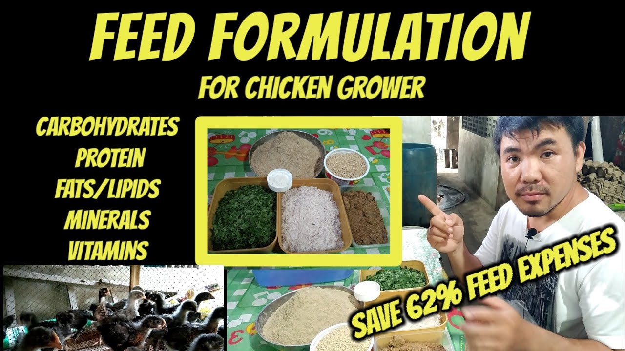 FEED FORMULATION FOR CHICKEN | TIPID TIPS
