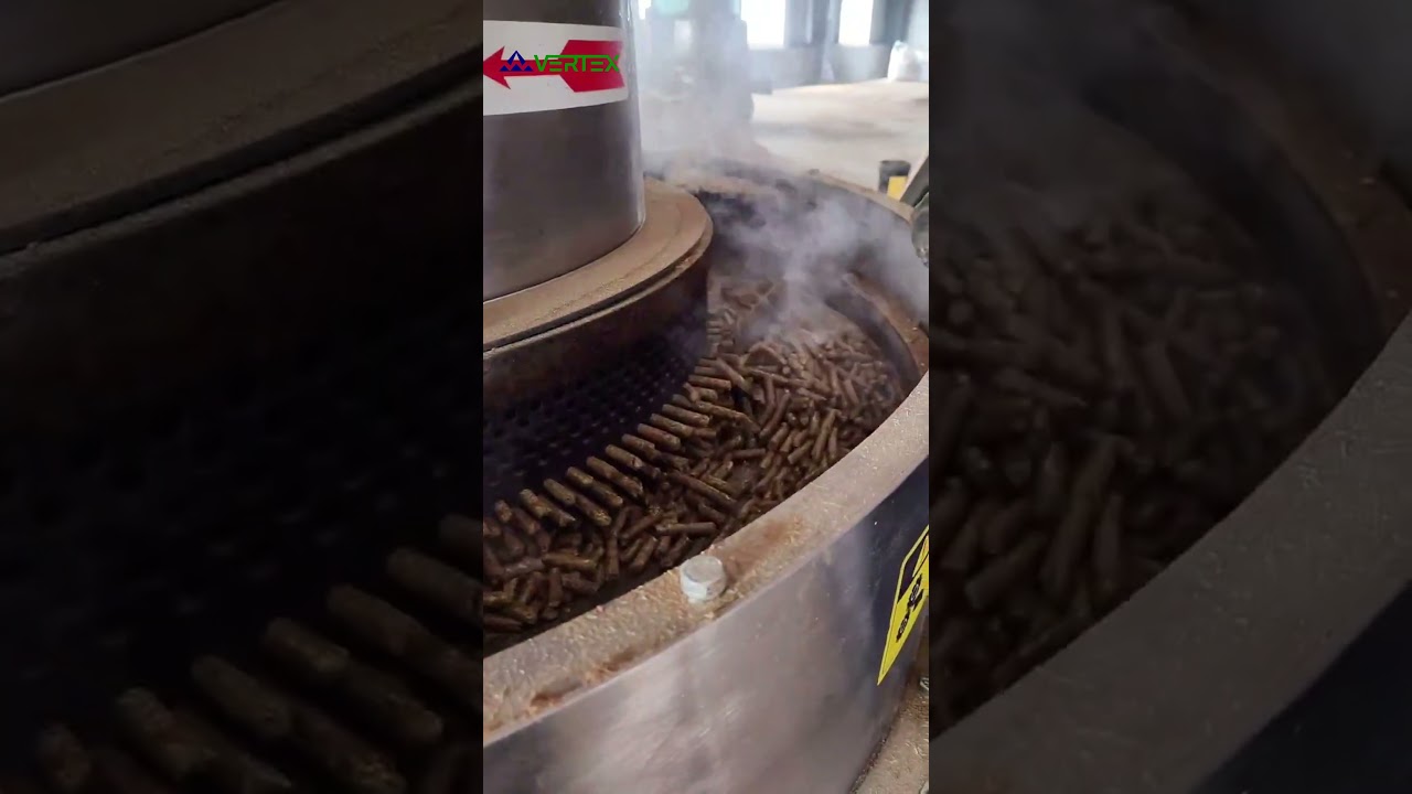 132 kW Pellet Mill, designed for efficient and rapid steam evaporation.#pelletmachine #pelletmill