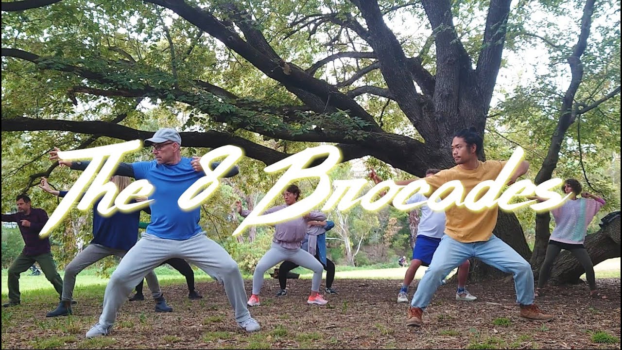 The 8 Brocades (八段錦) Qigong for Healing & Vitality