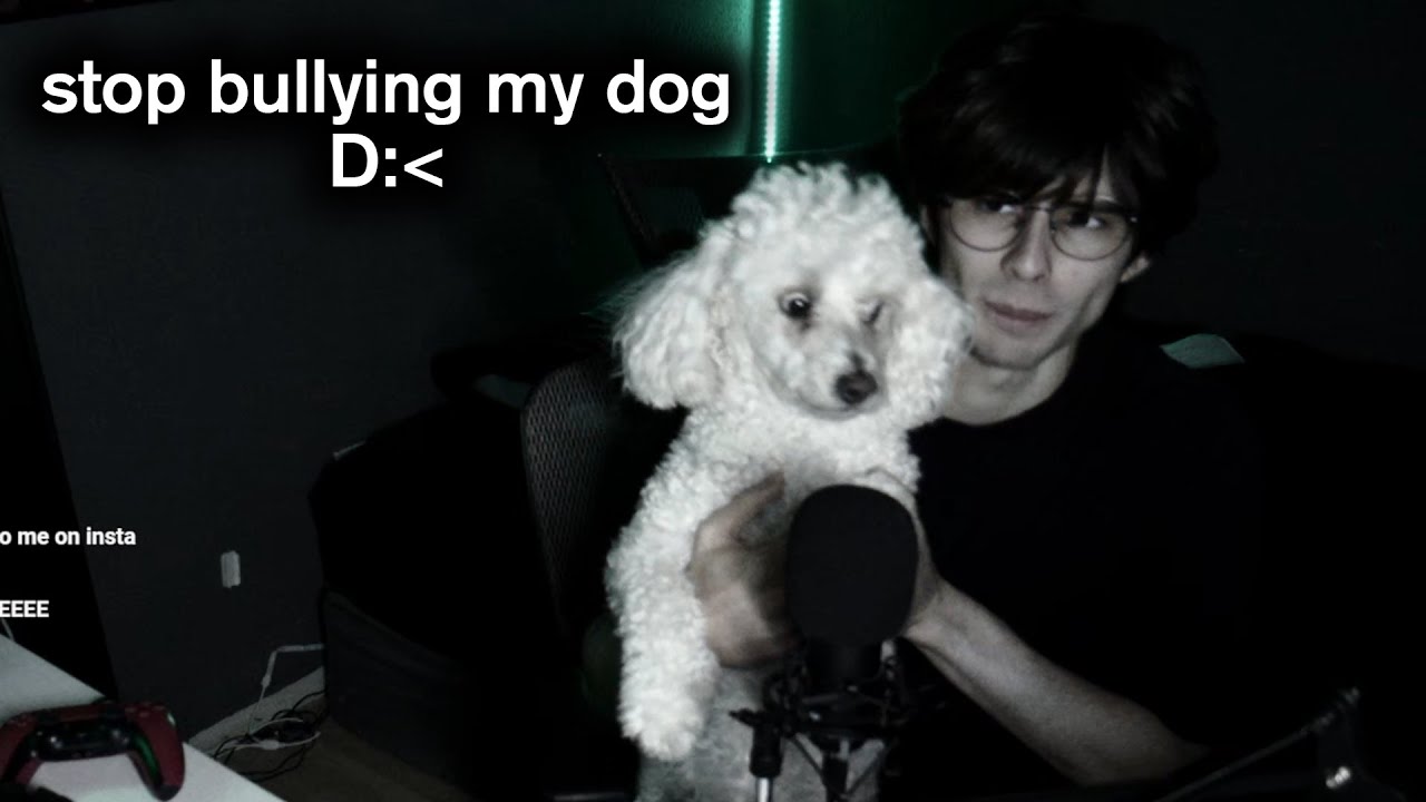 Roasting Your Pets on Discord Because You Bullied Mine