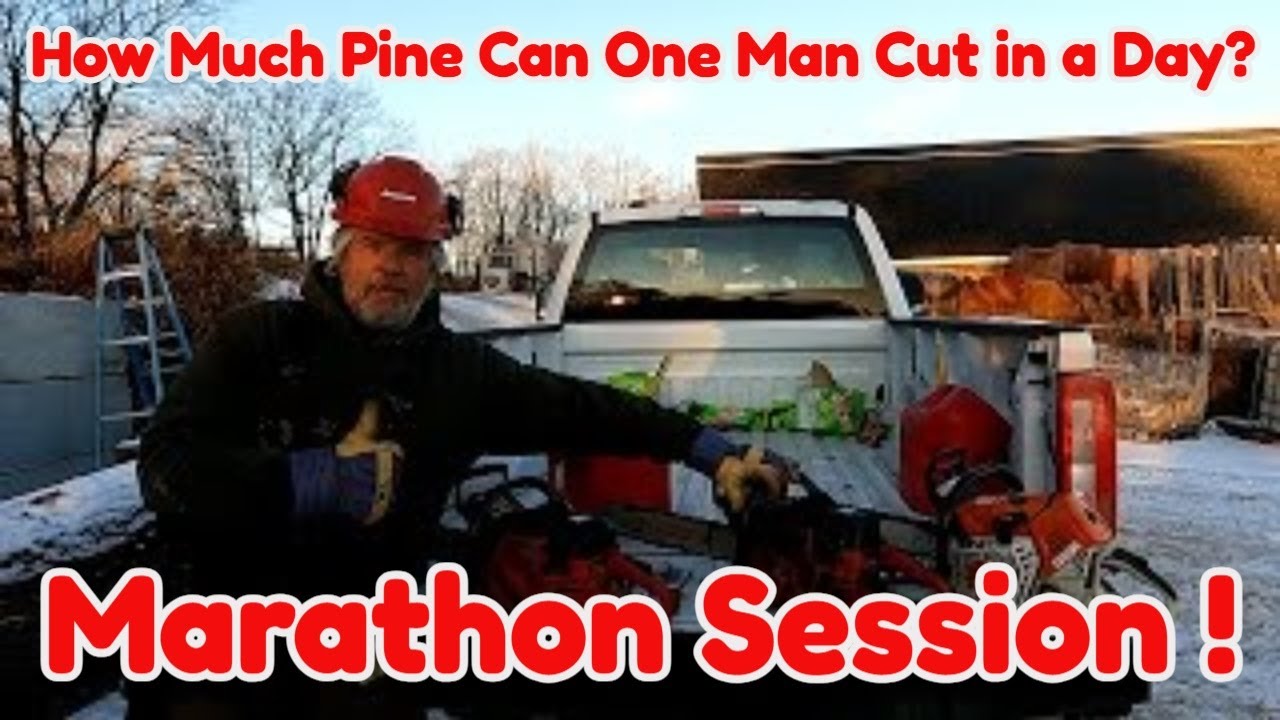How Much Pine Can One Man Cut in a Day?