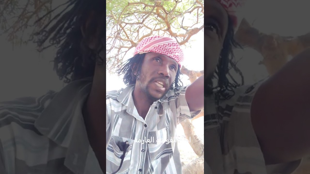 القيادات والإدارات الأهلية تشكو من حكومة آل دقلو | انفلات أمني خطير في نيالا