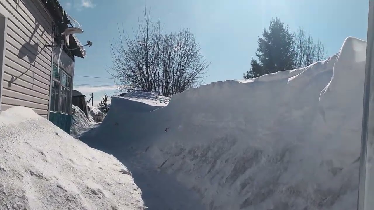 Пытаемся вылезти из сугробов 😅❄️❄️❄️