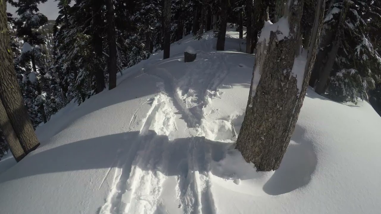 Jack's Woods  Mt Hood Meadows 1/17/23