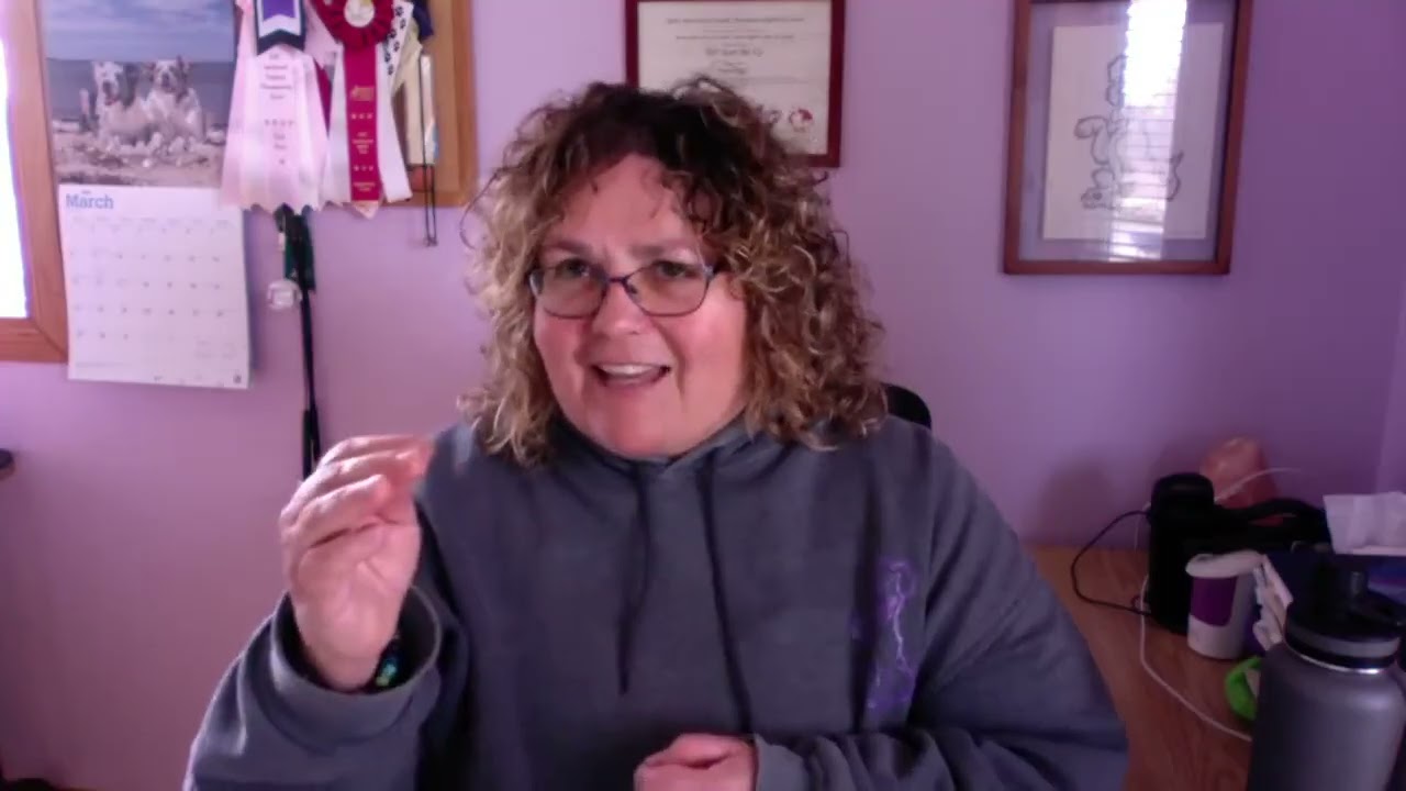 Why I use treats when training my dog   FB Live   Apr 24, 2020