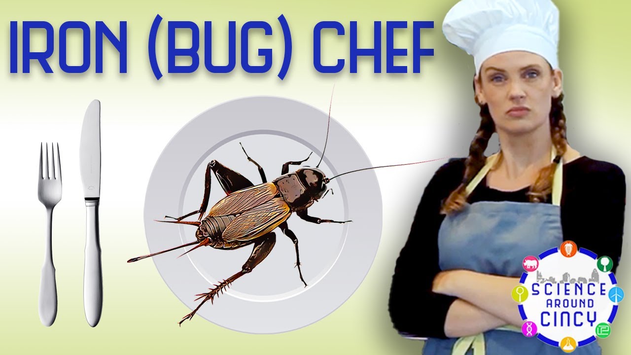 Edible Entomology with The Bug Chicks | Science Around Cincy