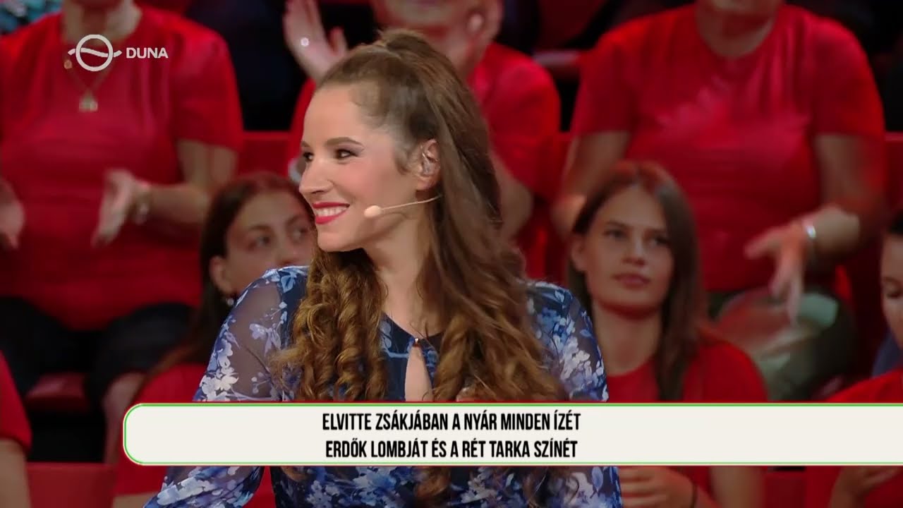 Magyarország, szeretlek! zenekar - Demjén Ferenc – Jöjj vissza vándor