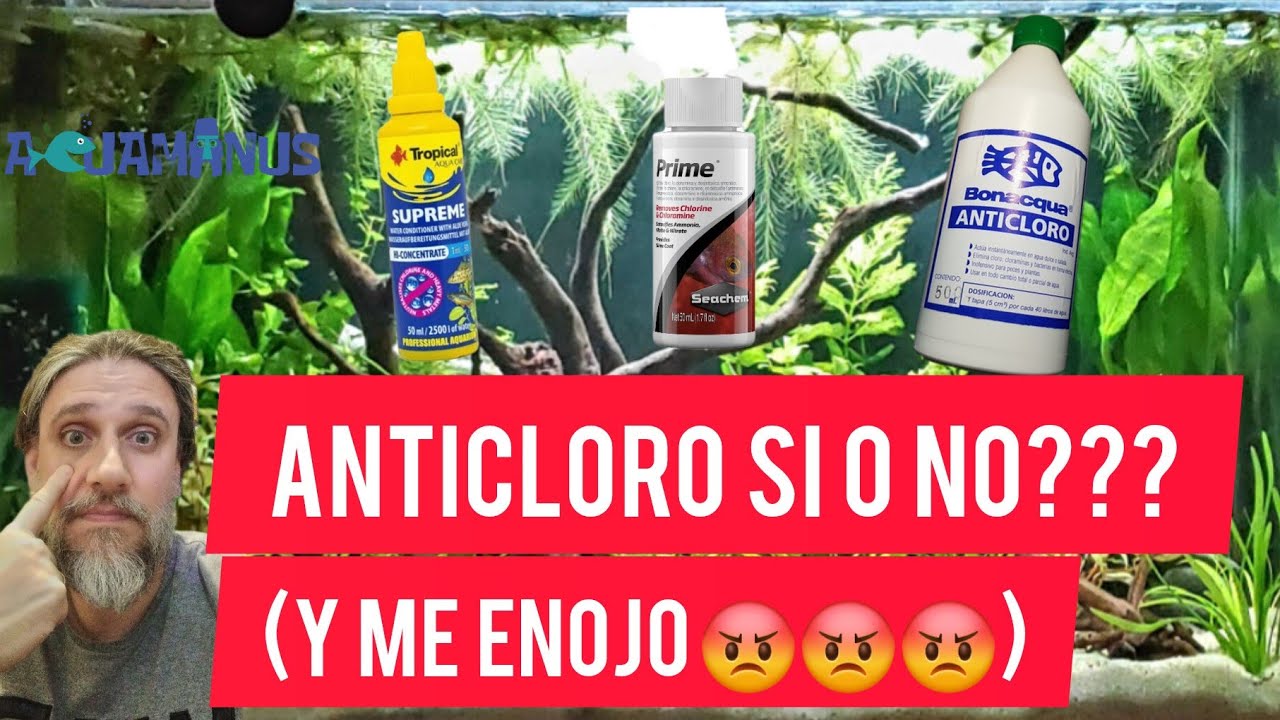 Anticloro,  si o no? (y me termino enojando 🤬😡🤬)