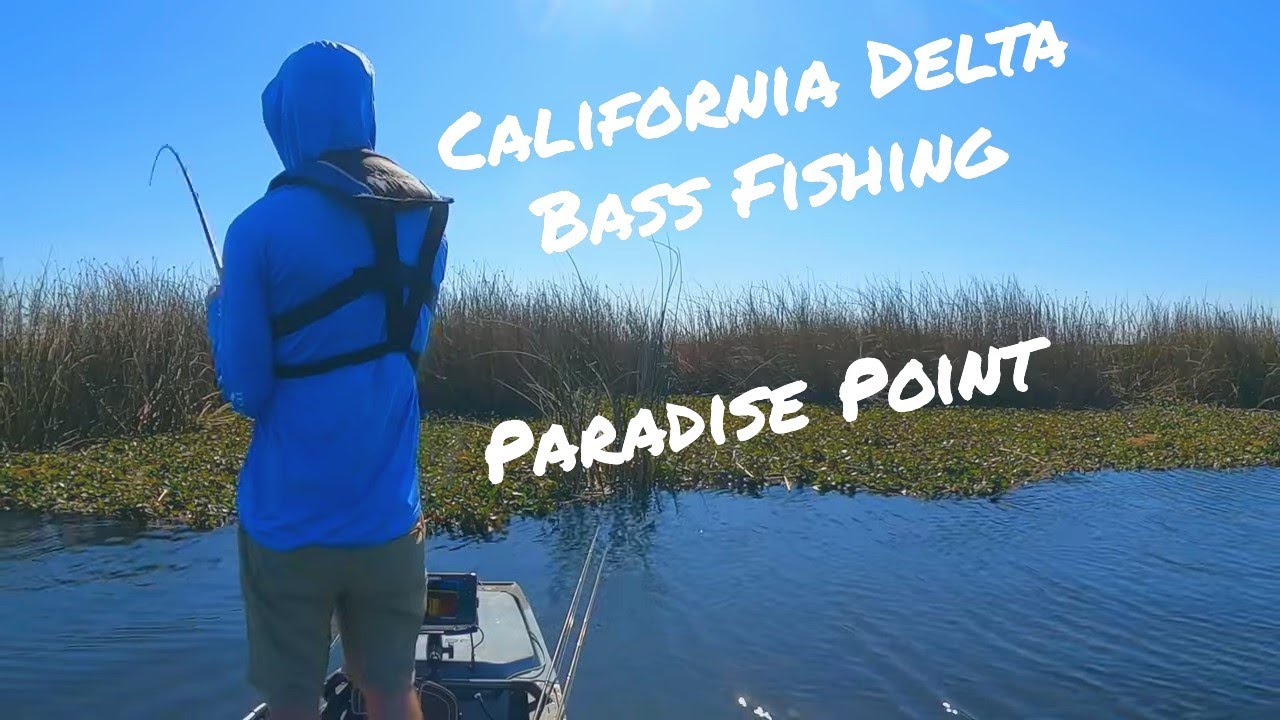 California Delta Pre Spawn Bass Fishing| Surprise At The End