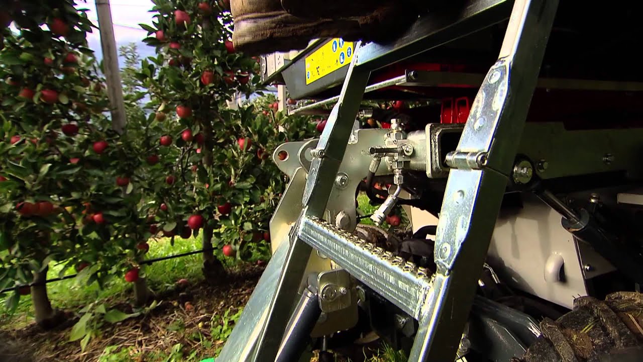 Raccolta sicura: mele - meccanizzata (polacco - ungherese)