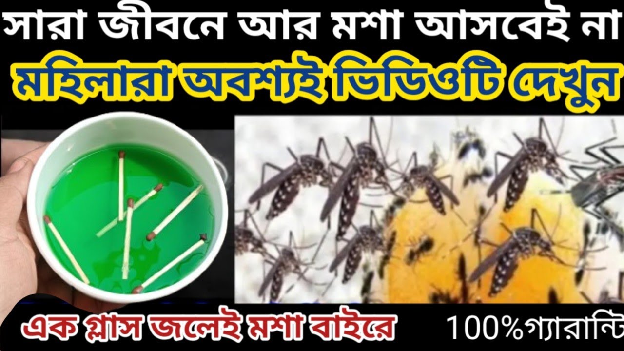 না কেমিক্যাল না কীটনাশক মশা তাড়ানোর জন্য এই ঘরোয়া টোটকাটি যথেষ্ট/Kitchen Tips/Mosquito