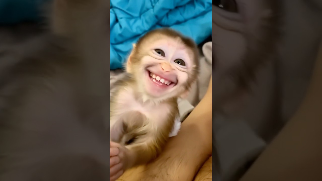 Baby Monkey Drinks Milk & Smiles Like a Real Baby