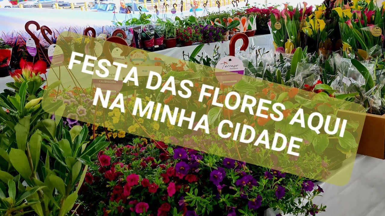 🌺FESTA DAS FLORES AQUI NA MINHA CIDADE 🌺VEM CONFERIR COMIGO🌺