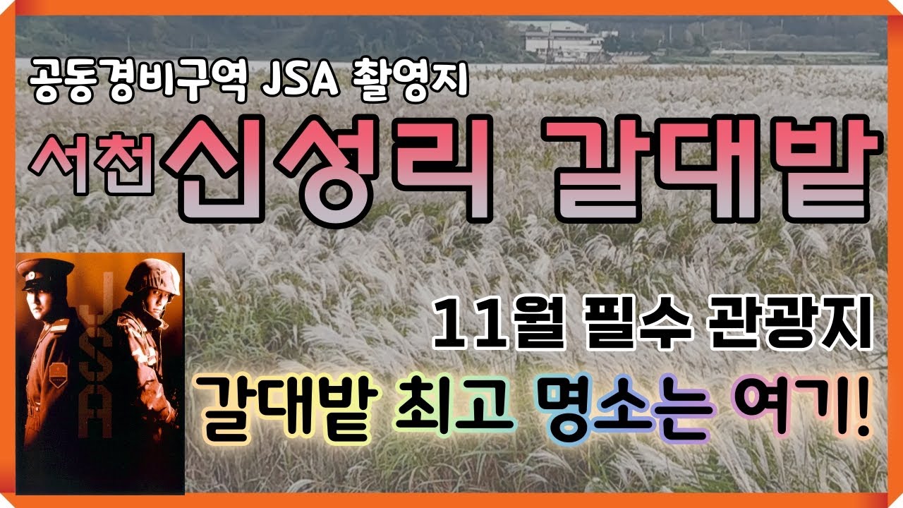 신성리 갈대밭이 최고인 이유