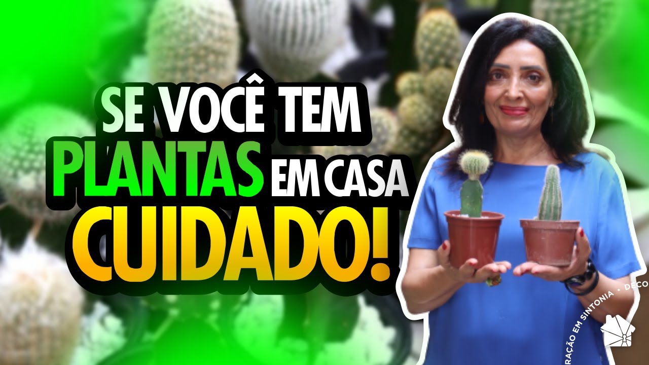 NÃO tenha essas PLANTAS em CASA | Feng Shui