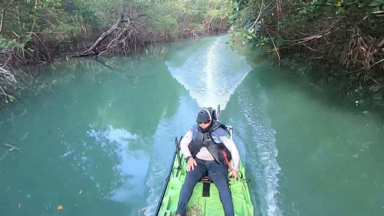 Navegando no Estuário do Rio Una. 