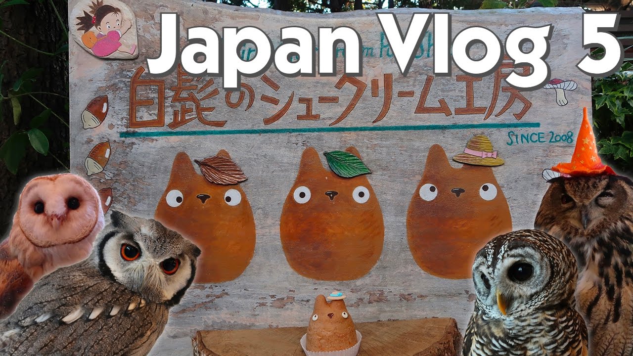JAPAN VLOG | Owl Cafe, Totoro Pastries, Studio Ghibli Museum, & Haul!