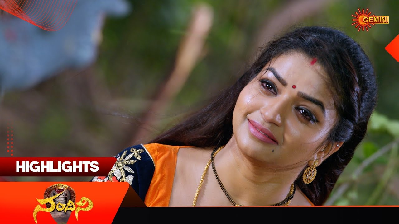 Nandini - Highlights of the day | Watch full EP Sun NXT | 21 Oct 2025 | Gemini TV