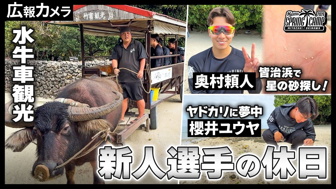 【春季キャンプ】新人選手初めての休日！竹富島観光にカメラが密着！【広報カメラ】