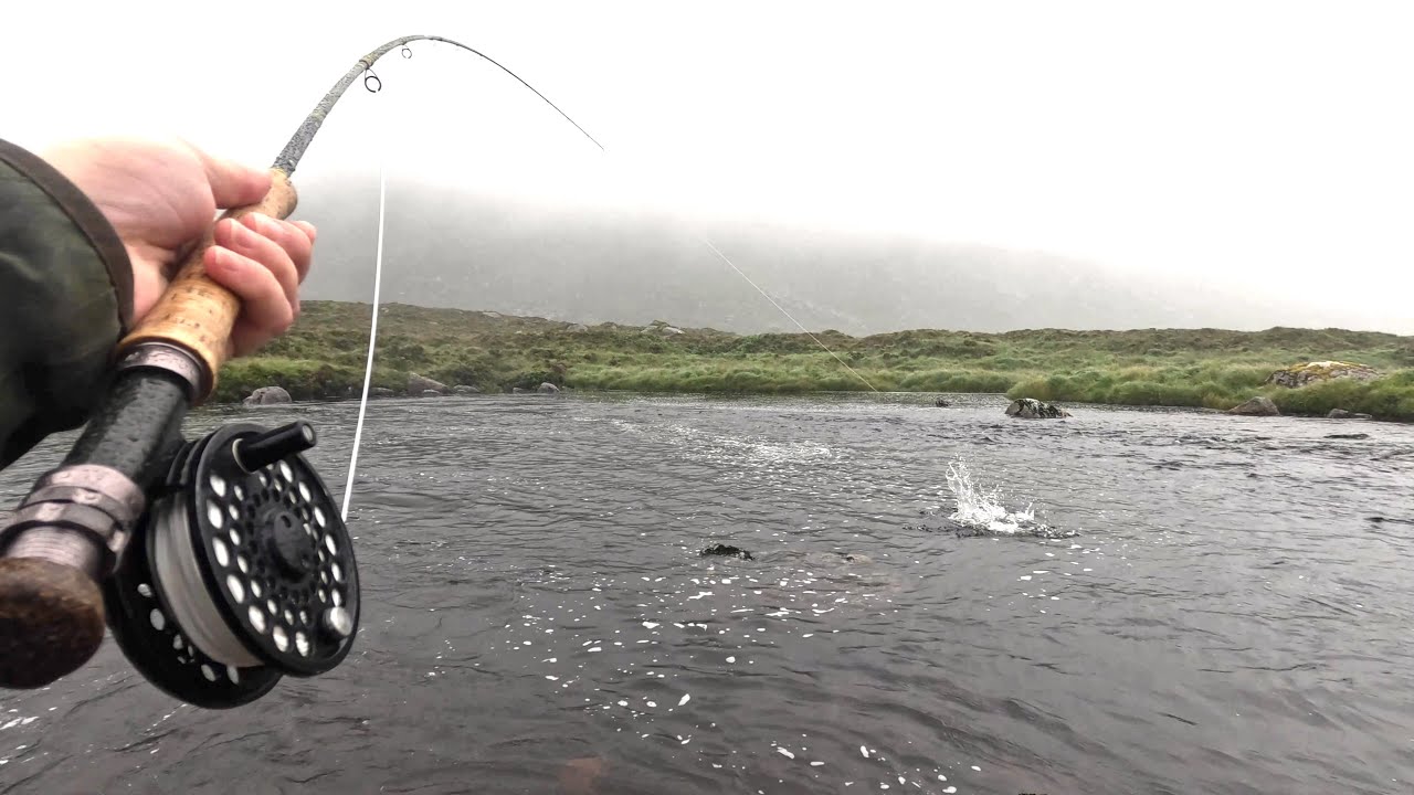 Salmon Fishing - A Rising River (July 2025)